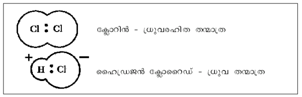ചിത്രം:P255a.png