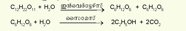 ചിത്രം:Vol5 140 formula.jpg
