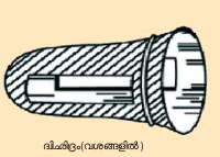 Image:nadiyanthra 3.png