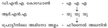 ചിത്രം:Pg729.png