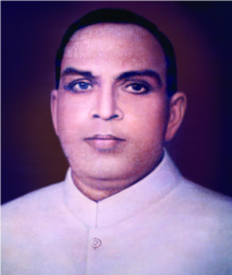 ചിത്രം:Narayanapilla .P.png