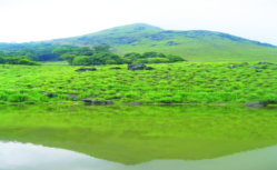 ചിത്രം:Chembra peak Wayanad04.png