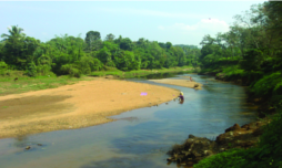 ചിത്രം:Achenkovil River Near Konnii-17.png