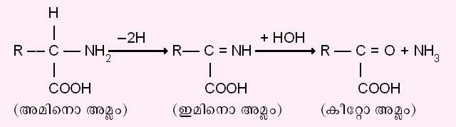ചിത്രം:Vol4 701 1.jpg