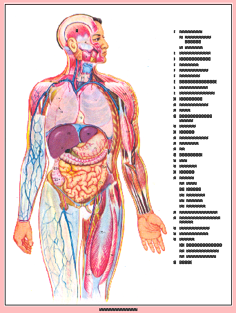 Image:p495.png