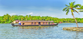 ചിത്രം:Ashtamudi lake 22.png