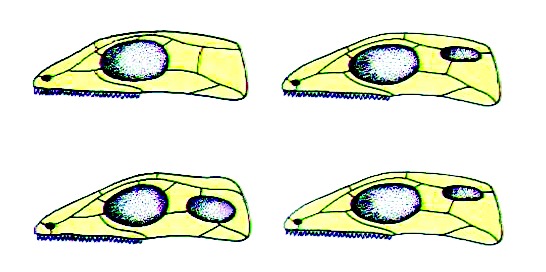 ചിത്രം:Vol4p658 classification.jpg