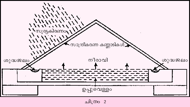 ചിത്രം:Vol4 707 3.jpg