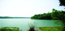 ചിത്രം:Sasthamkotta-Lake-03.png