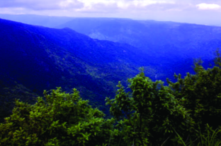 ചിത്രം:Khasi jayantia hills Shillong.png