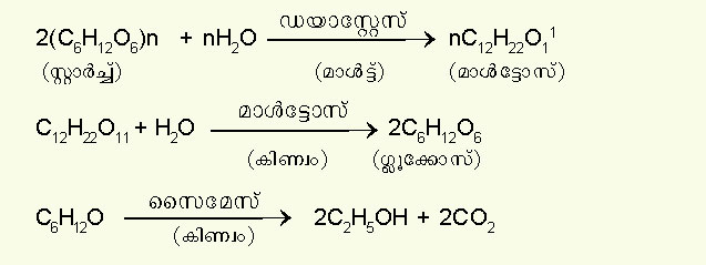 ചിത്രം:Vol5 140 formula2.jpg