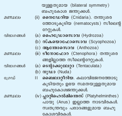 ചിത്രം:Jathu3.png