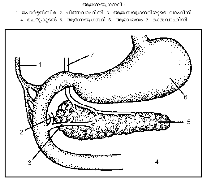ചിത്രം:Page738.png