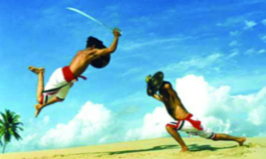 ചിത്രം:Kalaripayattu.png
