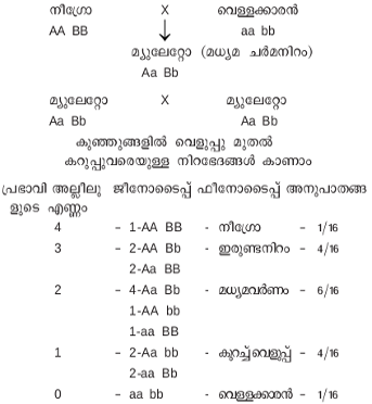 ചിത്രം:Jnathu SR90.png