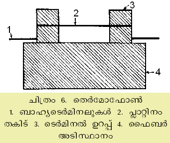 ചിത്രം:Vol4 545 1.jpg
