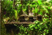 ചിത്രം:Chitrakoodam.png