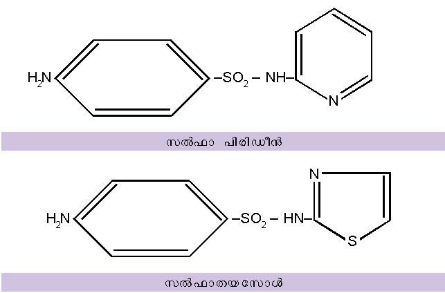 ചിത്രം:Vol5 907 Formula 2.jpg