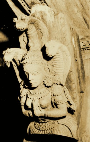 ചിത്രം:Daru 8c copy 1.jpg