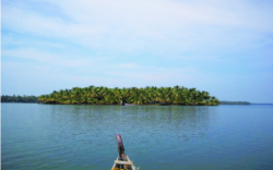 ചിത്രം:Kavvai backwaters-24.png