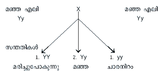 ചിത്രം:Janthu SR67.png