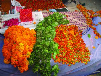 ചിത്രം:1722Diwali Flowers.jpg