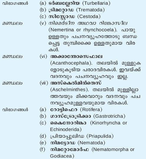 ചിത്രം:Jathu4.png