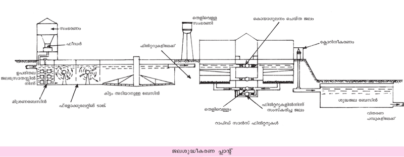 ചിത്രം:Waterplant.png