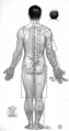 Thumbnail for version as of 05:33, 22 ഫെബ്രുവരി 2008