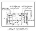 Thumbnail for version as of 10:33, 10 ഡിസംബര്‍ 2008