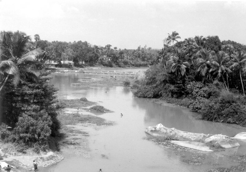 ചിത്രം:Thamra(669).jpg