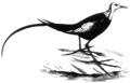 Thumbnail for version as of 08:52, 26 ജൂണ്‍ 2008