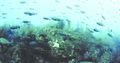 Thumbnail for version as of 05:19, 16 ജൂണ്‍ 2014