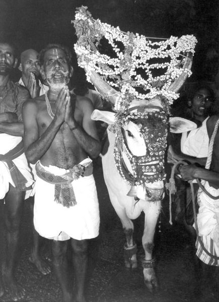 ചിത്രം:Pongal 445.jpg