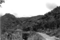 Thumbnail for version as of 07:10, 28 ജൂണ്‍ 2008