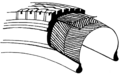 Thumbnail for version as of 08:11, 6 ഒക്ടോബര്‍ 2008