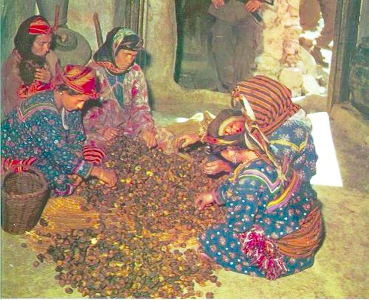 ചിത്രം:Vol6p329 kabyle ladies.jpg
