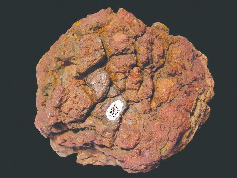 ചിത്രം:Vol4p732 siderites.jpg