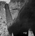 Thumbnail for version as of 06:33, 22 ഫെബ്രുവരി 2008