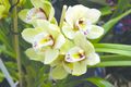 Thumbnail for version as of 08:37, 13 ജൂണ്‍ 2014