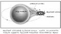 Thumbnail for version as of 10:27, 24 മാര്‍ച്ച് 2009