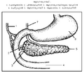 Thumbnail for version as of 06:16, 26 നവംബര്‍ 2009