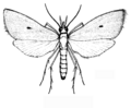 Thumbnail for version as of 09:05, 20 ജൂണ്‍ 2008