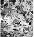 Thumbnail for version as of 05:23, 22 ഫെബ്രുവരി 2008
