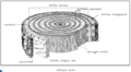 Thumbnail for version as of 08:51, 20 ജൂണ്‍ 2008