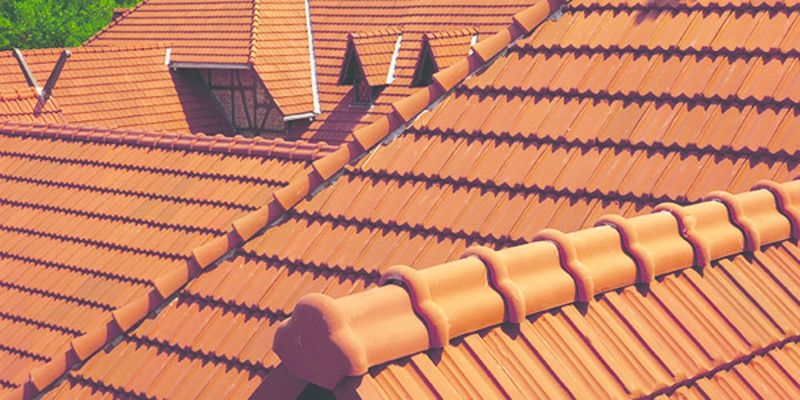 ചിത്രം:Vol5p729 big french roof.jpg
