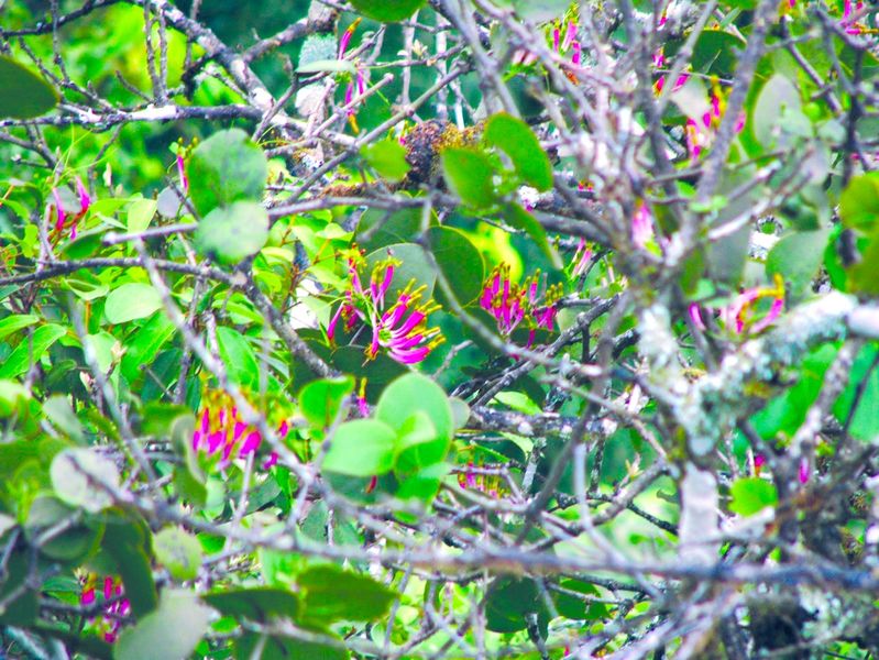 ചിത്രം:Vol3p638 IMG 2731.jpg.jpg
